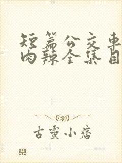 短篇公交车高h肉辣全集目录