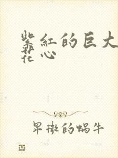 紫红的巨大顶开花心