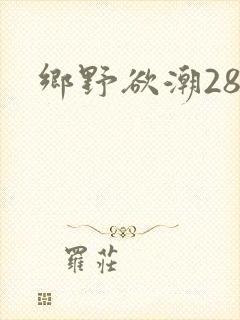 乡野欲潮28章