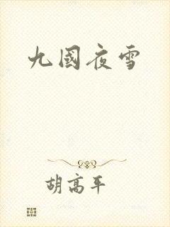 九国夜雪