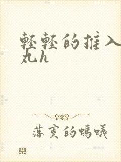 轻轻的推入合欢丸h