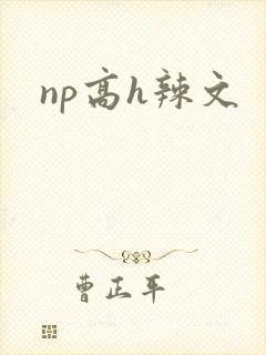 np高h辣文