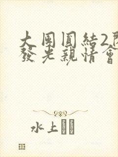 大团圆结2闪闪发光亲情会