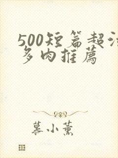 500短篇超污多肉推荐