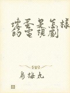 坏蛋是怎样炼成的电视剧