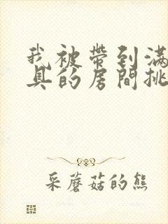 我被带到满是玩具的房间挑调作文