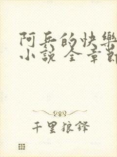 阿兵的快乐生活小说 全章节阅读免费