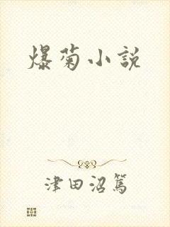 爆菊小说