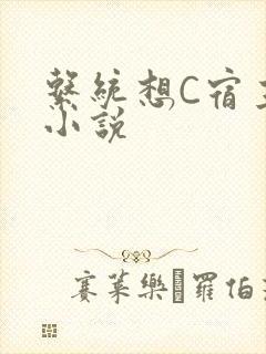 系统想C宿主的小说