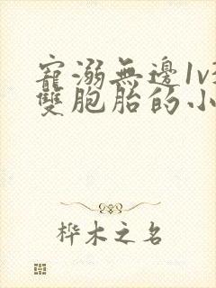 宠溺无边1v3双胞胎的小说