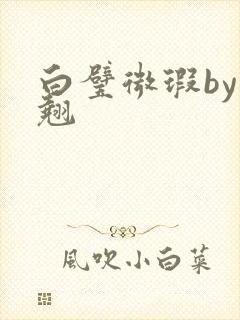 白璧微瑕by连翘