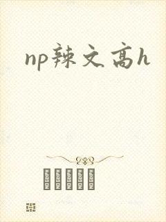 np辣文高h