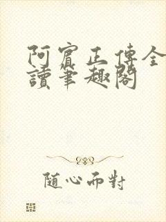 阿宾正传全文阅读笔趣阁