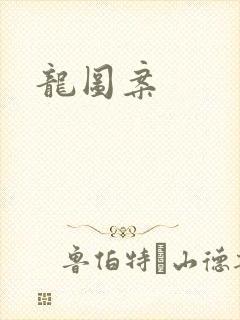 龙图案