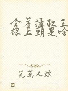 含着摄政王的紫根上朝是啥小说