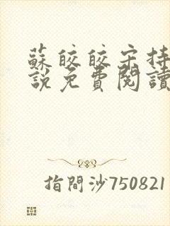 苏皎皎宋持的小说免费阅读