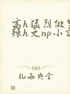 高h猛烈做哭高辣h文np小说