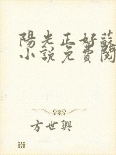 阳光正好苏玥玥小说免费阅读