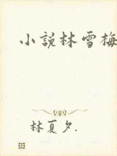 小说林雪梅