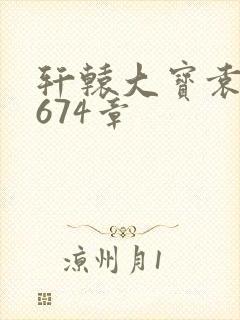 轩辕大宝袁雪妃674章