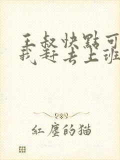 王叔快点可以吗我赶去上班