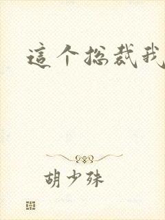 这个总裁我要了