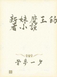 新妹魔王的契约者小说