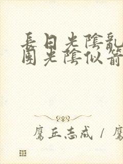 长日光阴乱作一团光阴似箭必读