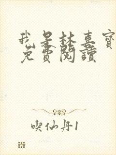 我是林喜宝小说免费阅读