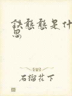 铁憨憨是什么意思