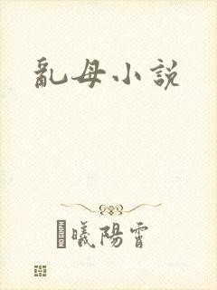 乱母小说