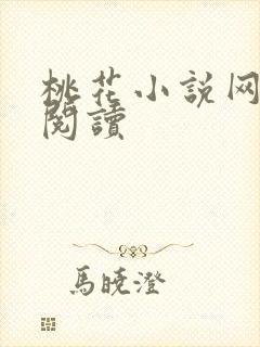 桃花小说网小说阅读