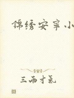 锦绣安宁小说