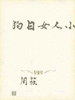 狗日女人小说