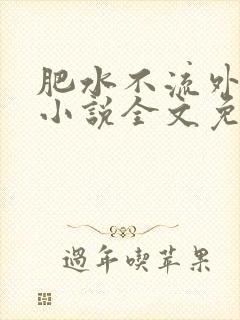 肥水不流外人田小说全文免费阅读1