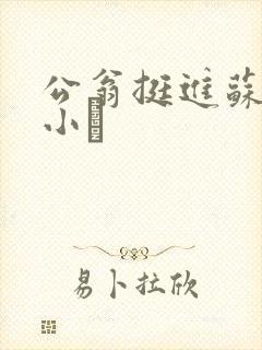 公翁挺进苏玥的小泬