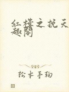 红楼之挽天倾笔趣阁