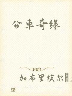 公车奇缘