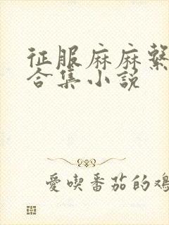 征服麻麻系列大合集小说