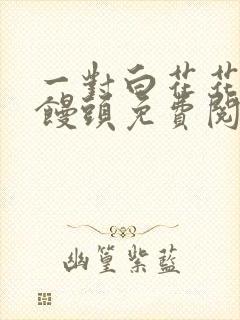 一对白花花的大馒头免费阅读