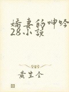 娇妻的呻吟1—28小说