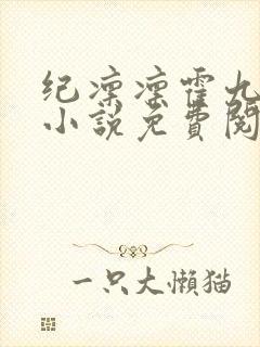 纪凛凛霍九霖的小说免费阅读在线