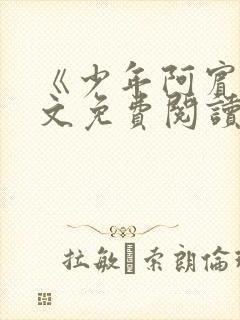 《少年阿宾》全文免费阅读