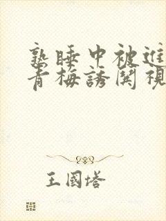 熟睡中被进了H青梅诱哄视频