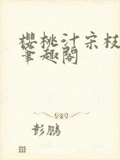 樱桃汁宋枝江野笔趣阁