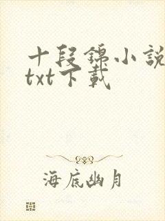十段锦小说全本txt下载