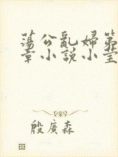 荡公乱妇第51章小说小莹