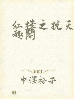 红楼之挽天倾笔趣阁