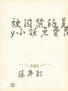 被囚禁的美人by小说免费阅读