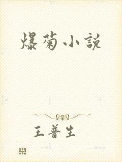 爆菊小说
